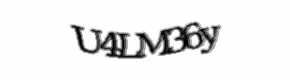 Security check image, please type the characters shown