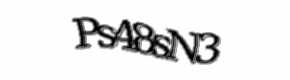 Security check image, please type the characters shown
